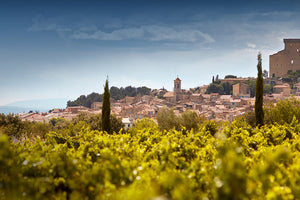 Rhone / Chateauneuf