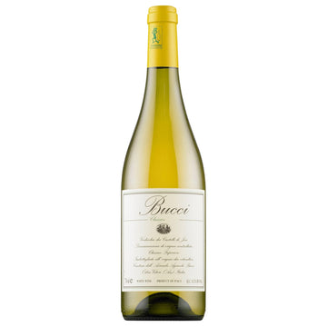 Bucci Verdicchio dei Castelli di Jesi Classico 2022