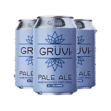Gruvi Pale Ale NA Beer 6pk/12oz Cans