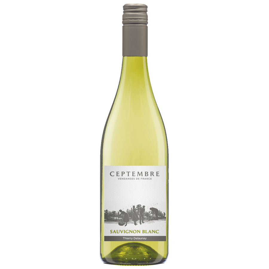 zelt sauvignon blanc Thierry Delaunay Ceptembre Sauvignon Blanc – InternetWines.com